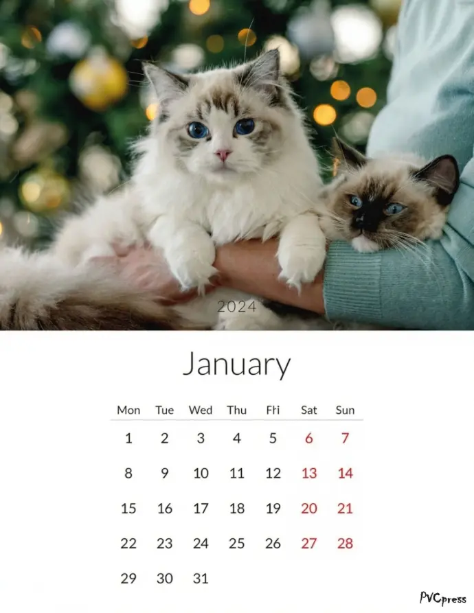 Calendars