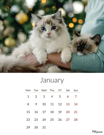 Calendars